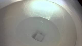 147:My Gerber forward trap toilet on flushometer