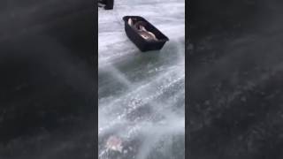 Браконьеры багрят сомов на зимовальной яме....