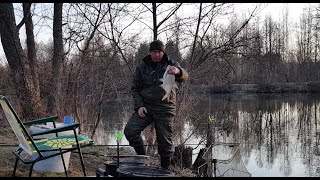 Первый лещ сезона 2019. Фидер. Рыбалка с ночёвкой. Река Друть.