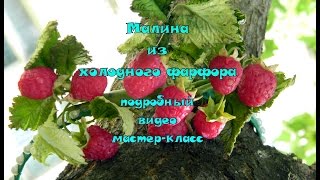 малина из холодного фарфора