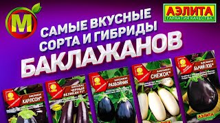 Самые Вкусные Сорта и Гибриды Баклажанов 2019