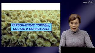Копаевич Л.Ф. - Секвентная стратиграфия - 7. Седиментационные системы карбонатного осадконакопления