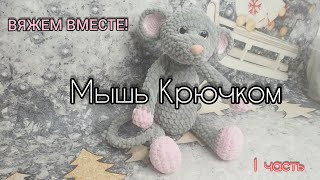 Мышка крючком для начинающих Мастер-класс. 1 часть. Мышонок Крючком.