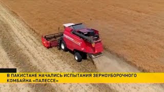Белорусский зерноуборочный комбайн проходит испытания в Пакистане