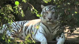 So much to do at Audubon Zoo