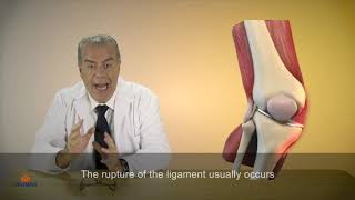 Injury to the lateral knee ligaments- KNEE ORTHOSIS