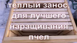 теплый занос, для лучшего наращивания пчел - весенние работы на пасеке