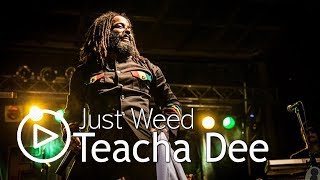 Teacha Dee - Just Weed - Jump Up Riddim