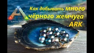 Как добывать много чёрного жемчуга в ARK