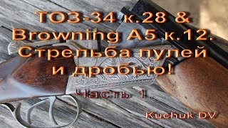 Тоз-34 к.28 & Browning A5 к.12.  Стрельба пулей и дробью! ч. 1