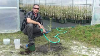 Planting an Olive Tree with Georgia Olive Farms