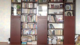 О книге Дарьи Донцовой «Корпоратив королевской династии»