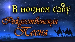 Песня В ночном саду.Рождество Христово.Минус(фонограмма)