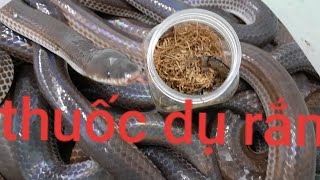 Bẩy rắn bằng thuốc. Tập 1