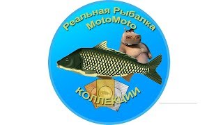 Коллекции | Реальная Рыбалка