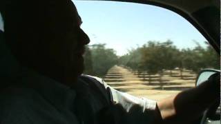 Dave Wakefield discusses water issues, irrigation systems, and abandoned onion crops.