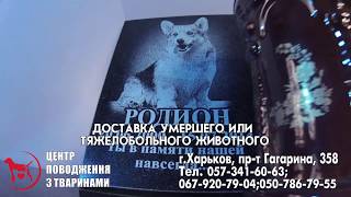 Ритуальные услуги для животных в Харькове