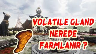 Conan Exiles Canlı Yayın Volatile Gland Farm...60 Level'e doğru + Sohbet Muhabbet