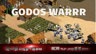 LA TREMENDA HABILIDAD DE LOS GODOS CON EL TOP 2 RIUT AGE OF EMPIRES 2