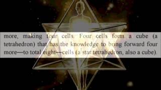 The Sacred Geometry of Conception and the Immortal Eight