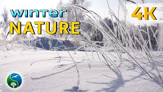 КРАСИВЫЕ ЗИМНИЕ ПЕЙЗАЖИ ~ Природа зимой ~Winter ~Relax