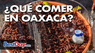 ¿Qué comer en Oaxaca? Conozca los mejores platillos Oaxaqueños