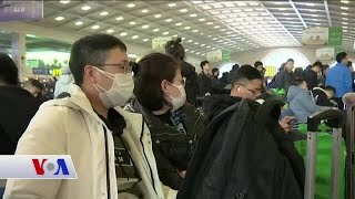 Dünya Sağlık Örgütü Corona Virüsü Salgını için Acil Toplanıyor