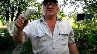 Что нужно знать перед побелкой стен дома известью