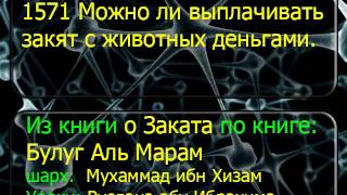 1571 Можно ли выплачивать закят с животных деньгами