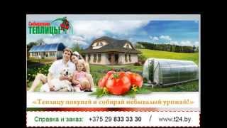 НОВИНКА! Сибирская теплица, купить теплицу из поликарбоната, ОТЗЫВЫ в Беларуси