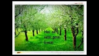 Cantece pentru copii: PRIMAVARA - CD: Primavara Piticilor