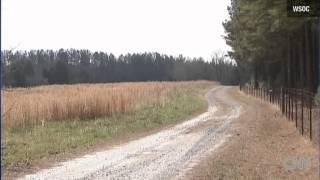 Loyal Dog saves 2-year-old lost in woods  South Carolina