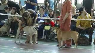 Моно Ка де бо ЧК 2005, Открытый суки/Mono Ca de bou, Open females