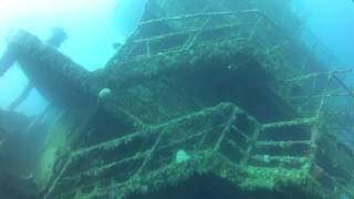 Roatan Honduras Odyssey Wreck HD