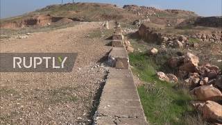 Syria: Footage shows ancient city of Ebla following SAA's advance in Idlib