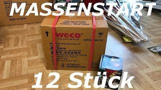 Weco/Helios - Artus/Reno/Poison - MASSENSTART 12 Stück - ABO SPECIAL