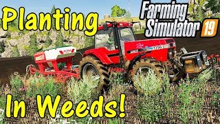 Let's Play Farming Simulator 19 #38: Planting In The Weeds!