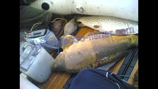 VIDEO- BOAT ELECTROFISHING Elektrofischen wędka elektryczna