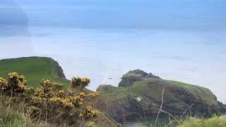 Calzada del Gigante - Irlanda del Norte - Patrimonio de la Humanidad