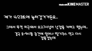 응원해주세요(응원은 댓글로 보시면 응원 댓글 달아주세요)설참