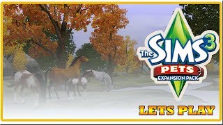 #5ДАВАЙ ИГРАТЬ В SIMS 3 ПИТОМЦЫ!