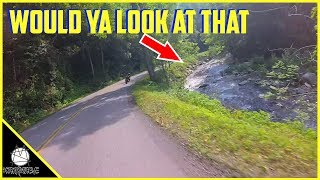 Honda Grom And Z125 Twisty River Ride | Smokey Mountain Crawl