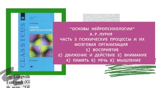 «Основы нейропсихологии» А.Р.Лурия. Прямой эфир 8. Заключение.