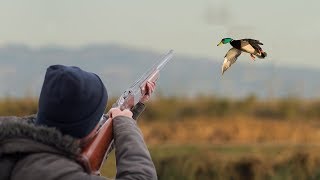 Охота на пернатых весна 2018