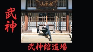 Bujinkan Budo Taijutsu