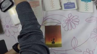 #1 Schnugis Kartenchallenge "Einfach tierisch"