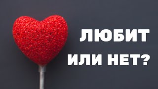 ЛЮБИТ ли тебя ДЕВУШКА? Как узнать? Любовь или МАНИПУЛЯЦИЯ? | Берегите Голову!
