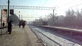 сапсан.