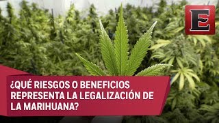 Uso lúdico y medicinal de la marihuana