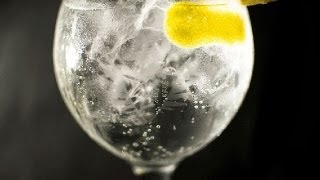 Gin Tonic Monkey 47 + Seagrams en Restaurante ruta Del Veleta